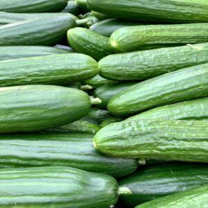 Organic cucmber
